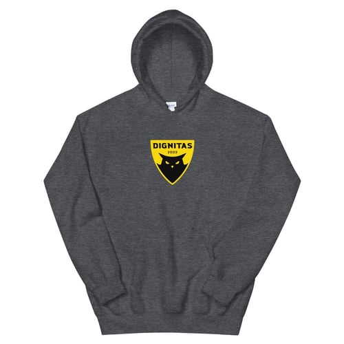 Team Dignitas Esports Hoodie