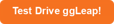 اختبار زر محرك GGLEAP